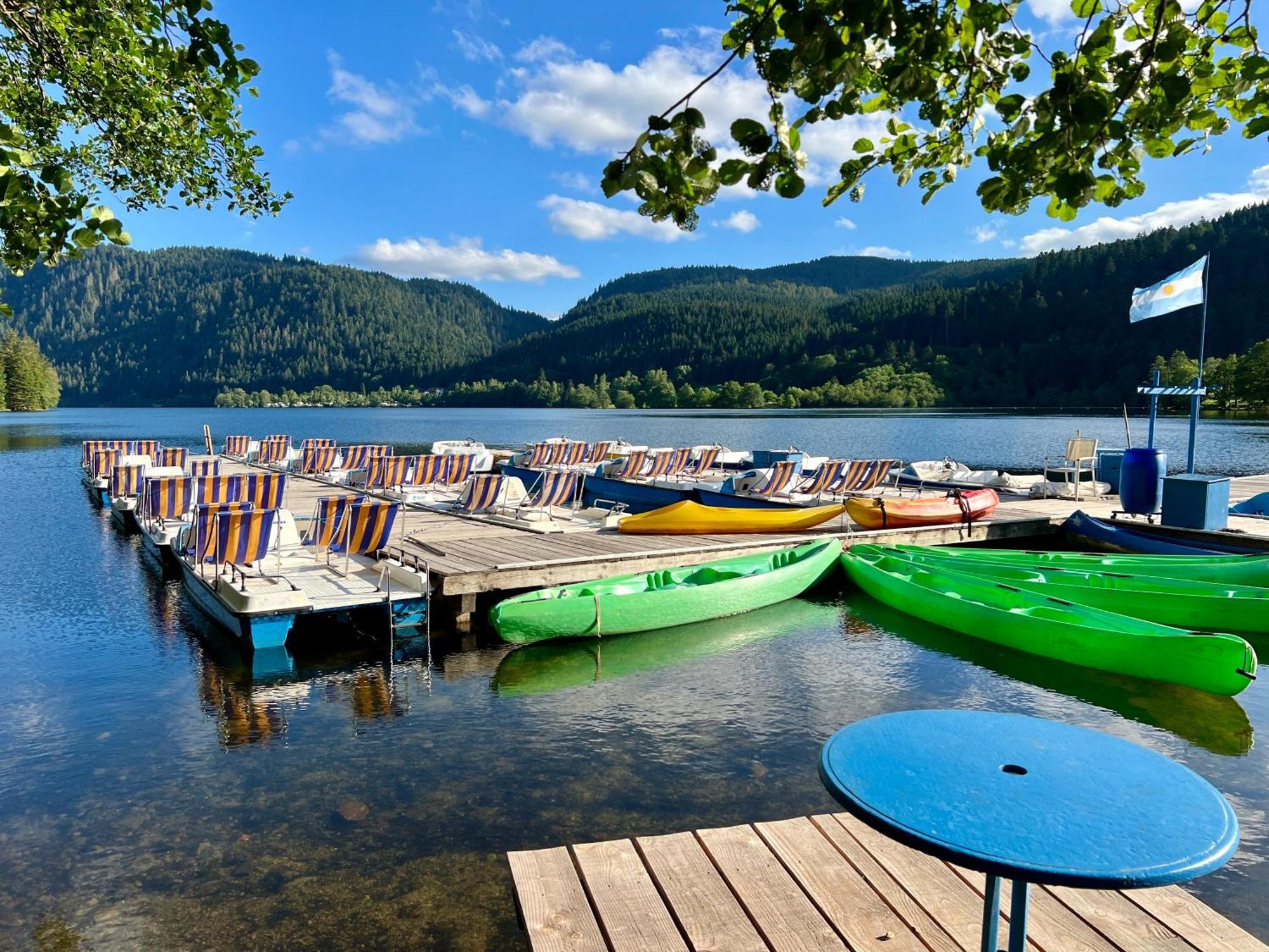 Logis Hotel, Chalets Et Restaurant Les Chatelmines La Bresse Εξωτερικό φωτογραφία
