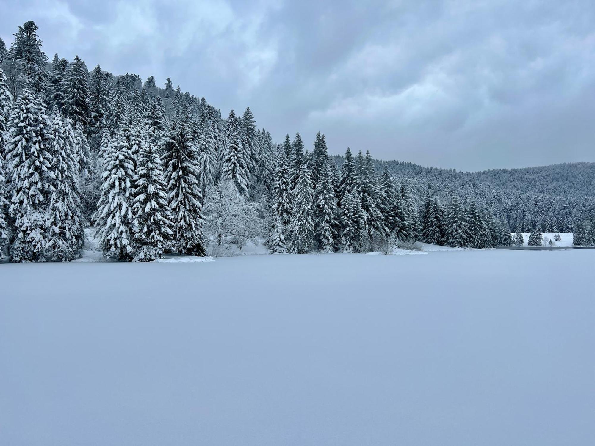 Logis Hotel, Chalets Et Restaurant Les Chatelmines La Bresse Εξωτερικό φωτογραφία