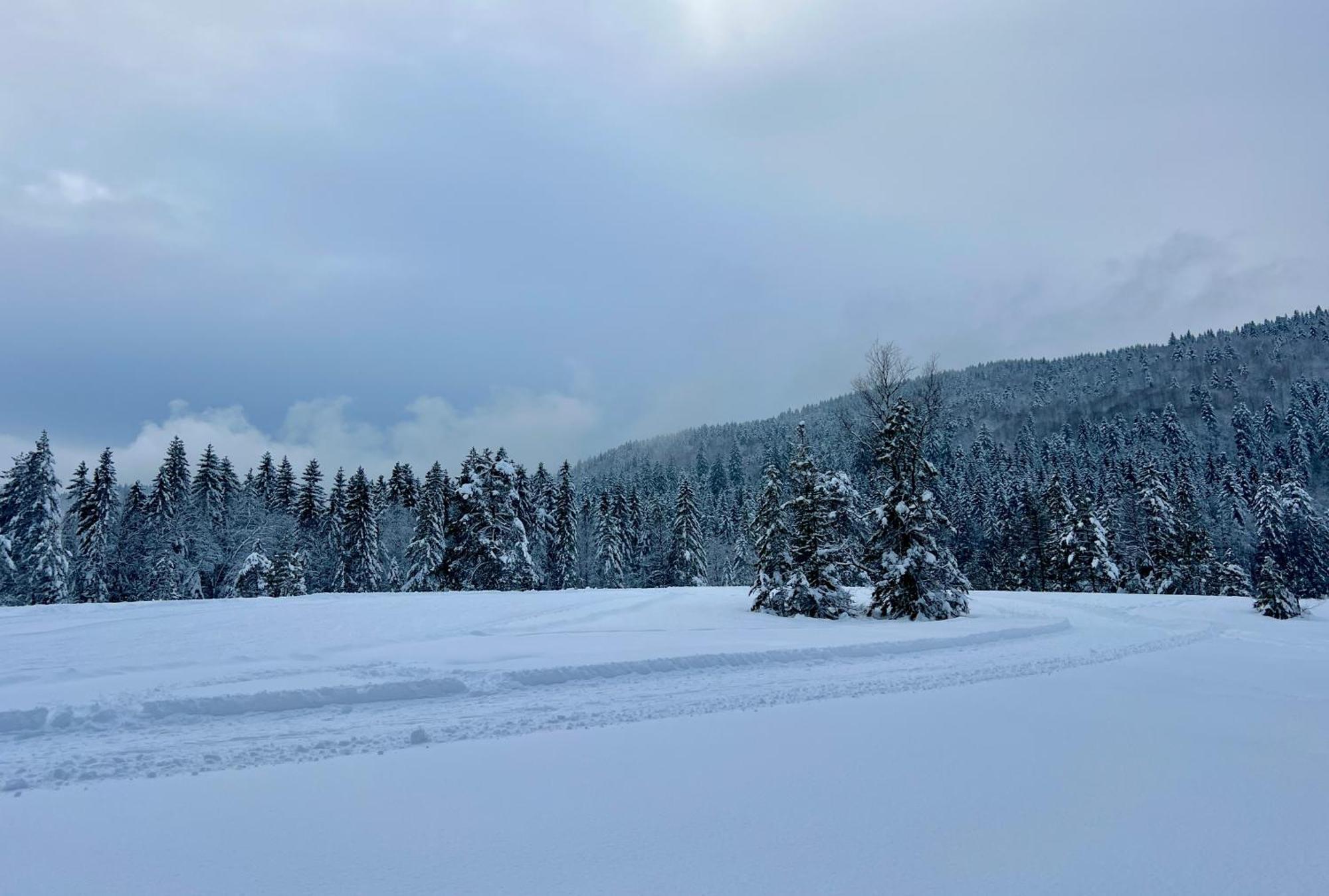 Logis Hotel, Chalets Et Restaurant Les Chatelmines La Bresse Εξωτερικό φωτογραφία